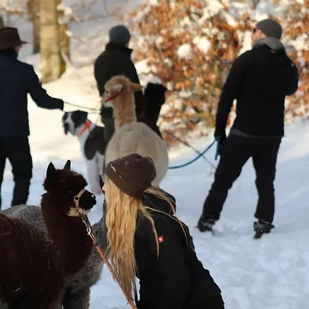 別荘 Blockhaus Am Edersee *