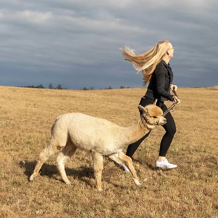 Blockhaus Am Edersee * Harbshausen