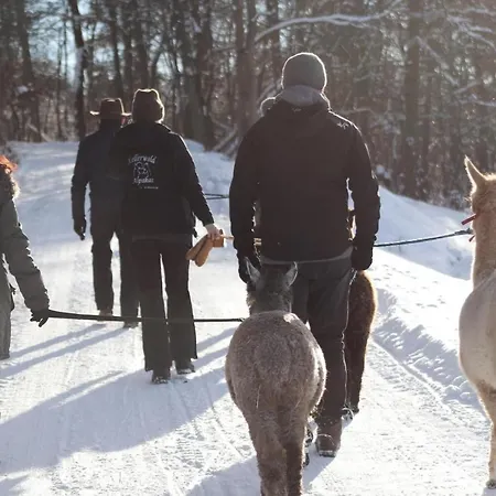 Blockhaus Am Edersee Harbshausen