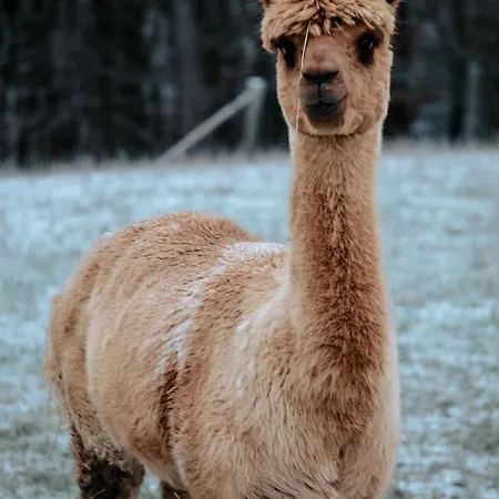 別荘 Blockhaus Am Edersee Harbshausen