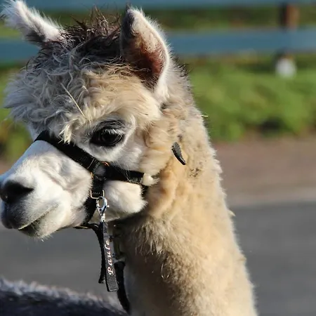 Blockhaus Am Edersee * Harbshausen