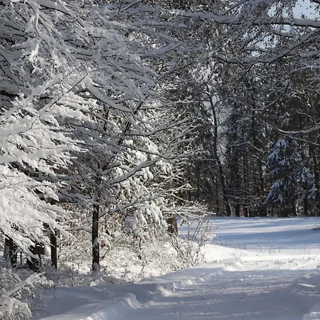 別荘 Blockhaus Am Edersee Harbshausen