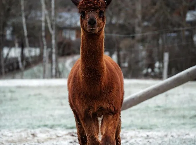 Blockhaus Am Edersee * Harbshausen