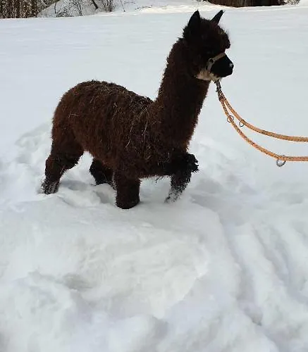 Blockhaus Am Edersee Chalet Harbshausen