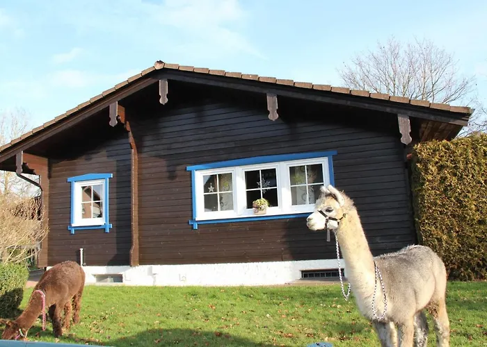 Chalet Blockhaus Am Edersee