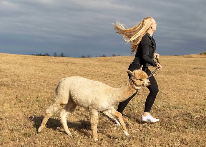 Blockhaus Am Edersee * Harbshausen