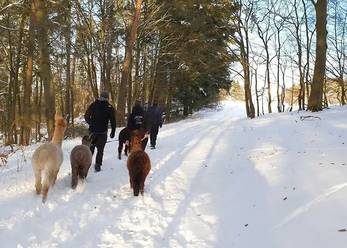 Blockhaus Am Edersee