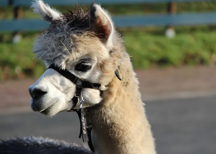 Blockhaus Am Edersee * Harbshausen