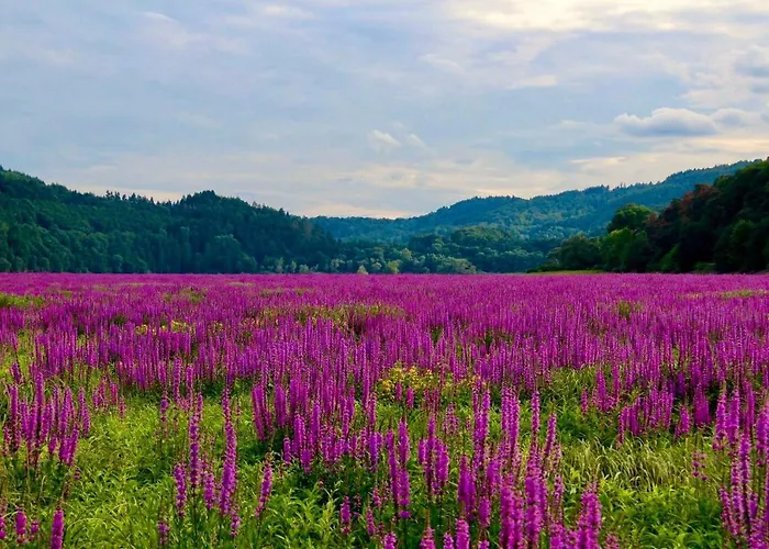 Blockhaus Am Edersee Chalet Harbshausen